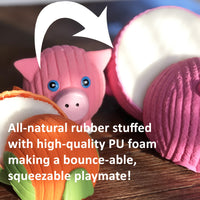 Matty Mail Carrier Ruff-Tex® Latex Ball Dog Toy, Large