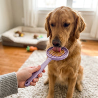 SodaPup eStick Handheld Lick Toy