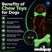 PUP-X Rubber Glow in the Dark Chew Bone Dog Toy - Durable, Floats, Chew Toy for Large Dogs | USA