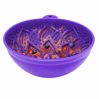 SodaPup Garden of Eatin’ Tipsy Bowl