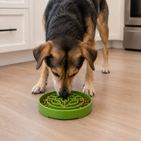 SodaPup Garden Slow Feeder Tray