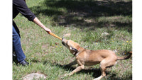 SodaPup Pop Top Rubber Tug Toy