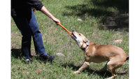 SodaPup Pop Top Rubber Tug Toy