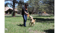 SodaPup Pop Top Rubber Tug Toy