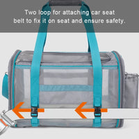 TrueLove Pet Carrier TLX2071