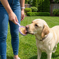 SodaPup eStick Handheld Lick Toy