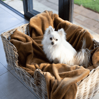 Rattan Pet Bed