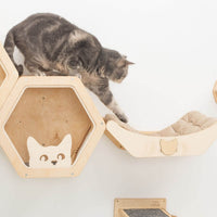 Cat Bed on Wall Light