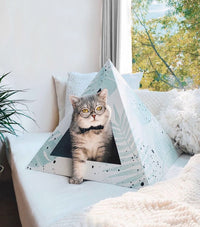 'Oasis' Cardboard Cat Pyramid