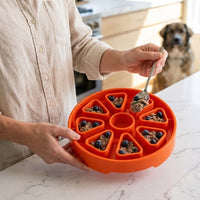 Citrus Softie eTray Shallow Slow Feeder Dog Bowl | USA Made
