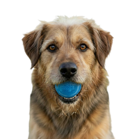 Glitter Ball Dog Toy | Soft PUP-X Rubber Floating Fetch Ball with Treat Dispenser | USA Made