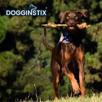 Dogginstix Braided Lamb Collagen Double Knot Dog Chew – Natural, Grass-Fed, Low Fat Treat