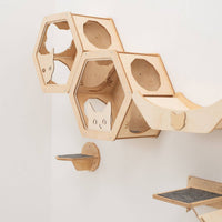Honeycomb Cat Shelves Light