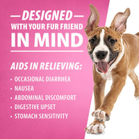 Jeffers Diawin Digestive Support for Dogs - Bismuth Tummy Relief for Diarrhea