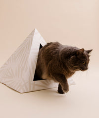 KittyKardboard Neutral Palm Cat Hideout