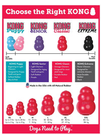 KONG Classic Dog Toy