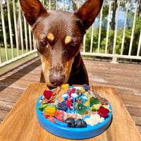 Air Nylon eCoin Lick Mat for Dogs - Durable Enrichment Toy | SodaPup