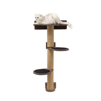 Medium Cat Tree – Dark Walnut