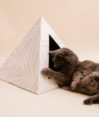 KittyKardboard Neutral Palm Cat Hideout