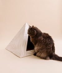 KittyKardboard Neutral Palm Cat Hideout