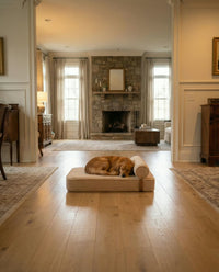 The Modern Day Bed — Boucle Lounge Dog Bed | High-Density Foam, Waterproof Lined, Washable