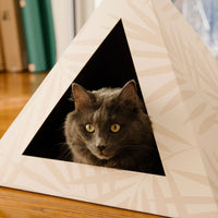 KittyKardboard Neutral Palm Cat Hideout
