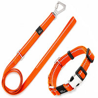 Pet Life Advent Reflective Collar & Leash Set