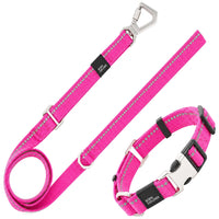 Pet Life Advent Reflective Collar & Leash Set
