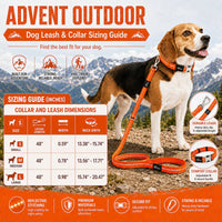 Pet Life Advent Reflective Collar & Leash Set