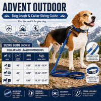 Pet Life Advent Reflective Collar & Leash Set