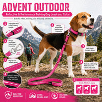 Pet Life Advent Reflective Collar & Leash Set