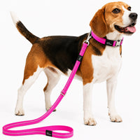 Pet Life Advent Reflective Collar & Leash Set