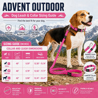 Pet Life Advent Reflective Collar & Leash Set