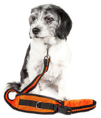 Pet Life Echelon Convertible Hands-Free Leash and Walking Belt