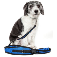 Pet Life Echelon Convertible Hands-Free Leash and Walking Belt