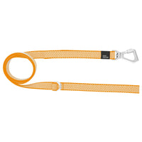 Pet Life Escapade Harness & Leash Set