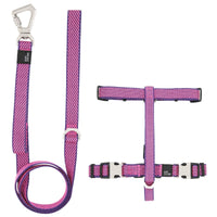 Pet Life Escapade Harness & Leash Set