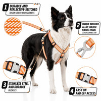 Pet Life Escapade Harness & Leash Set