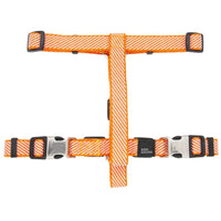 Pet Life Escapade Harness & Leash Set