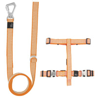 Pet Life Escapade Harness & Leash Set