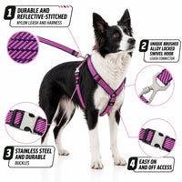 Pet Life Escapade Harness & Leash Set