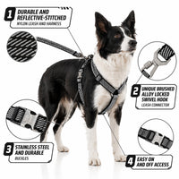Pet Life Escapade Harness & Leash Set