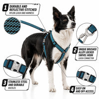 Pet Life Escapade Harness & Leash Set