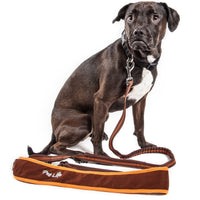 Pet Life Free-Fetcher Over-Shoulder Hands-Free Dog Leash
