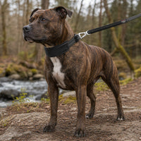 Pet Life Geo-prene Padded Collar & Leash Set
