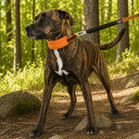 Pet Life Geo-prene Padded Collar & Leash Set