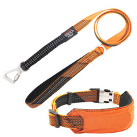 Pet Life Geo-prene Padded Collar & Leash Set