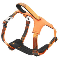 Pet Life Geo-prene Padded Harness & Leash Set