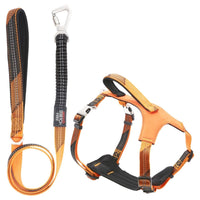Pet Life Geo-prene Padded Harness & Leash Set