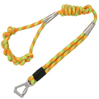 Pet Life Neo-Craft Braided Nylon Dog Leash